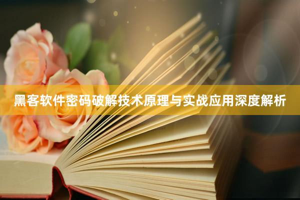 黑客软件密码破解技术原理与实战应用深度解析